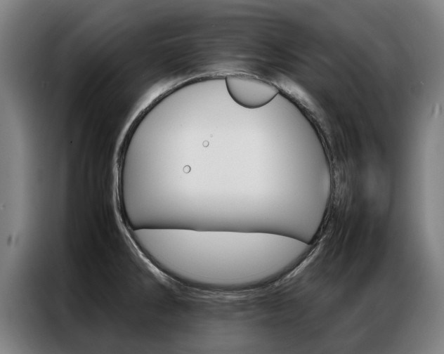 X0000087311286200704200710