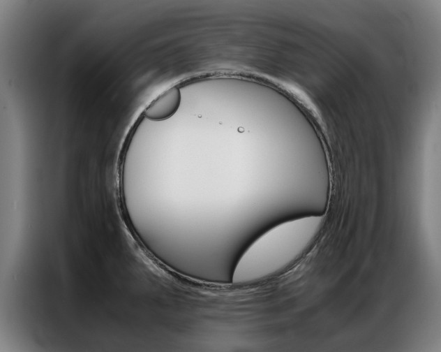 X0000087311287200704200710