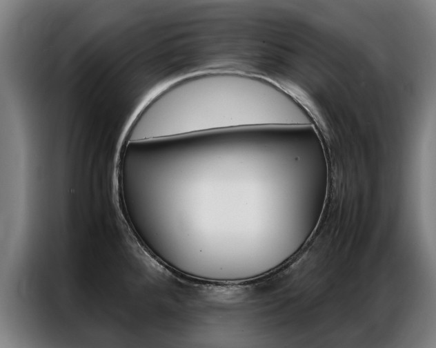 X0000087311288200704200710