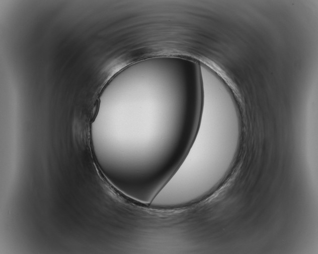 X0000087311289200704200710