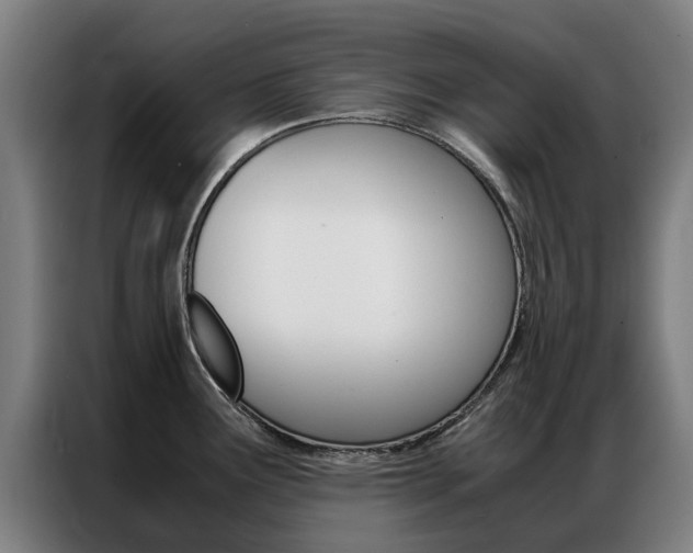 X0000087311291200704200710