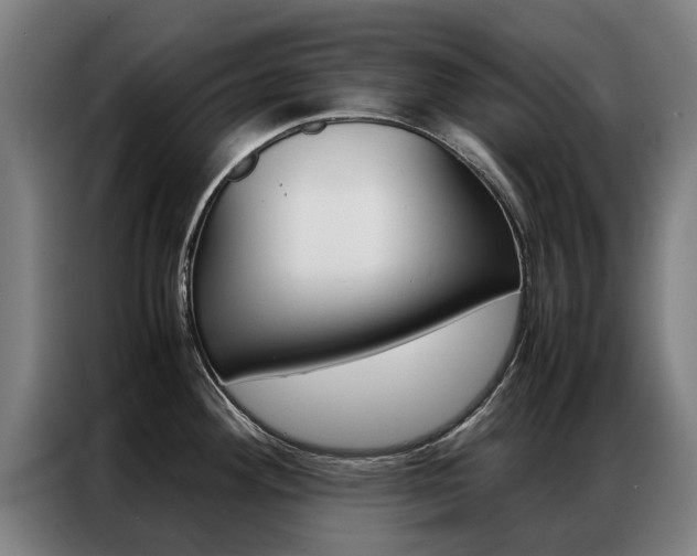X0000087311292200704200710