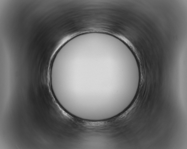 X0000087311294200704200710