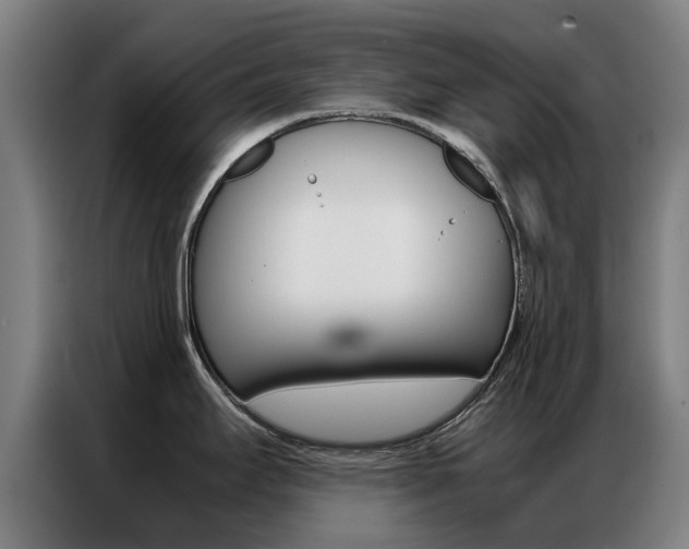 X0000087311295200704200710