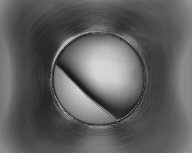 X0000087311296200704200710
