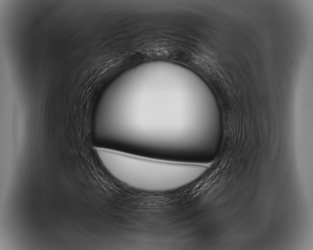 X0000087311297200704200709