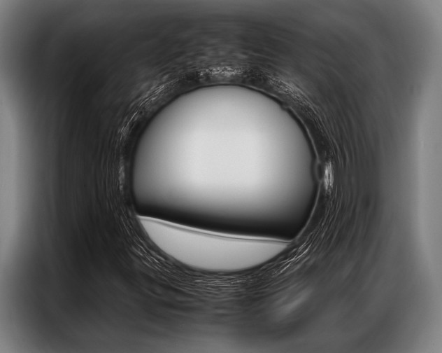 X0000087311299200704200709