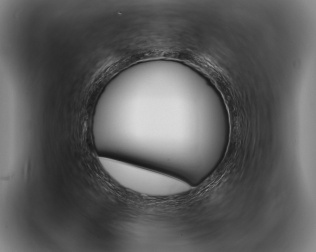 X0000087311302200704200709