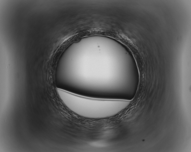 X0000087311303200704200709