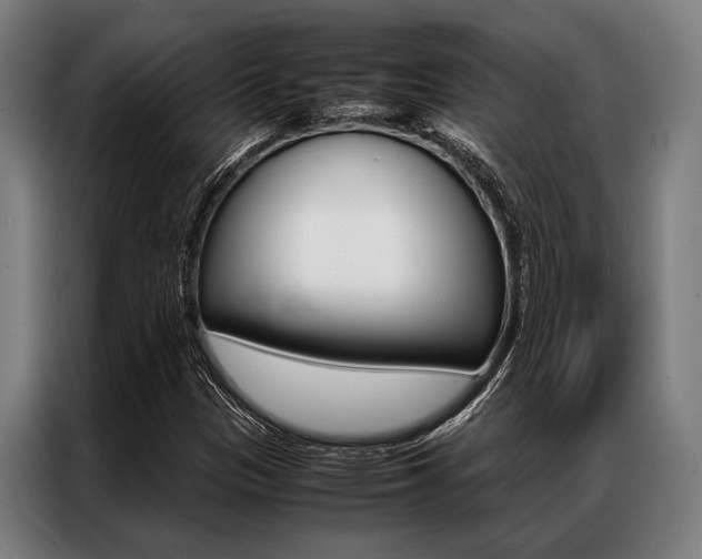 X0000087311305200704200709