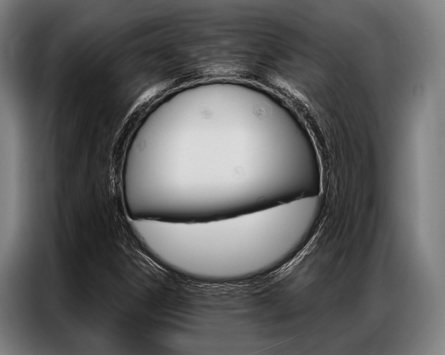 X0000087311306200704200709
