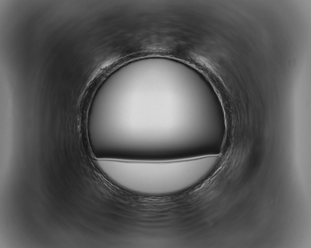 X0000087311307200704200709