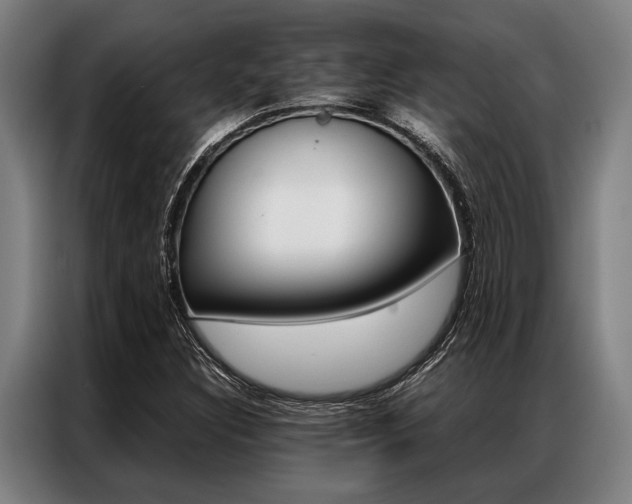 X0000087311308200704200709