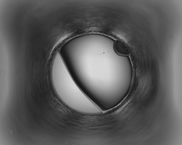 X0000087311309200704200709