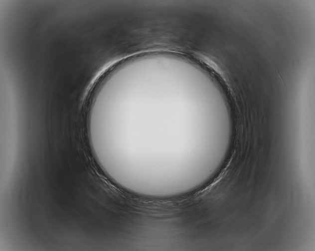 X0000087311310200704200709