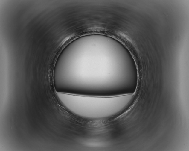 X0000087311313200704200709