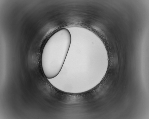 X0000087311314200704200709