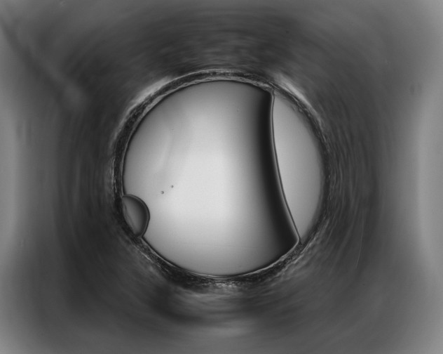 X0000087311315200704200709