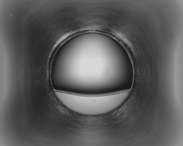 X0000087311316200704200709