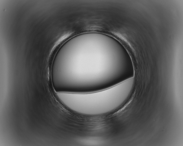 X0000087311317200704200709