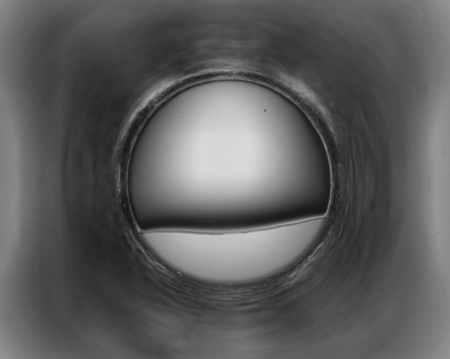 X0000087311318200704200709