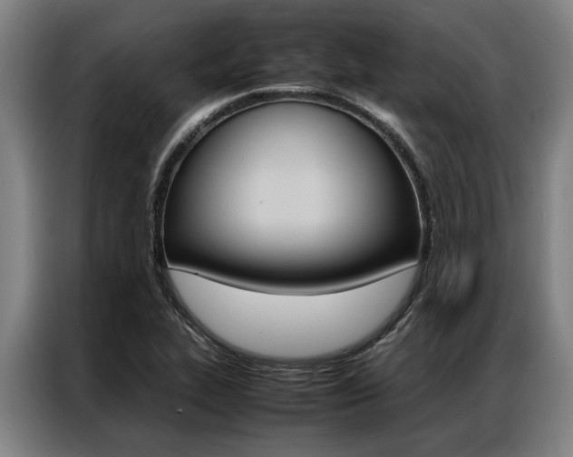 X0000087311319200704200709