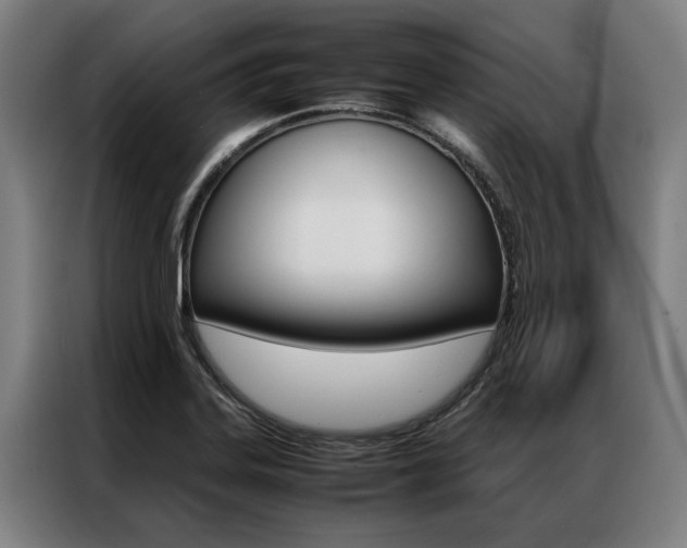X0000087311323200704200710
