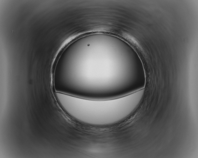 X0000087311324200704200710