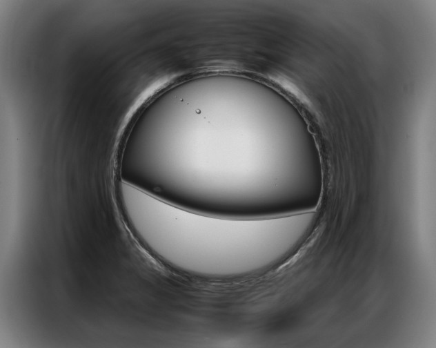 X0000087311325200704200710