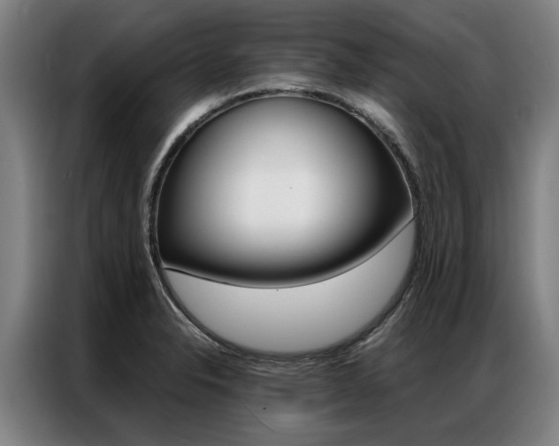 X0000087311326200704200710