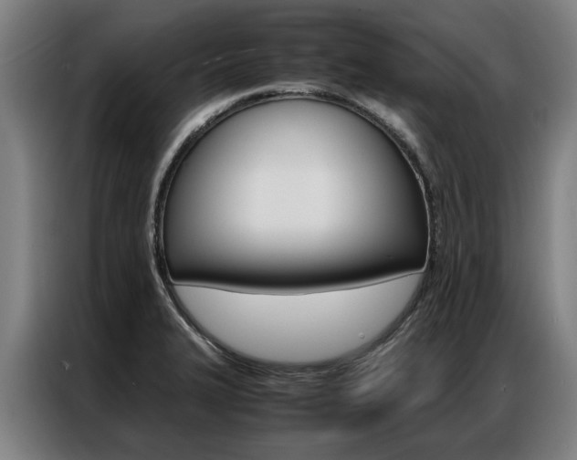 X0000087311327200704200710