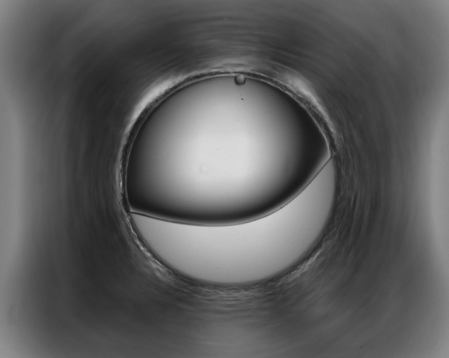X0000087311328200704200710