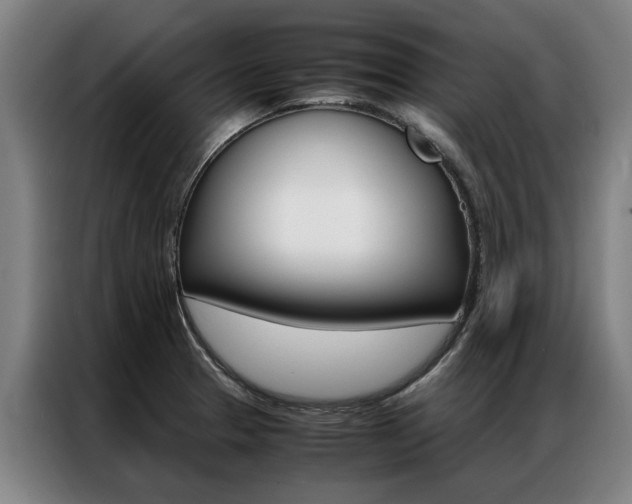 X0000087311329200704200710