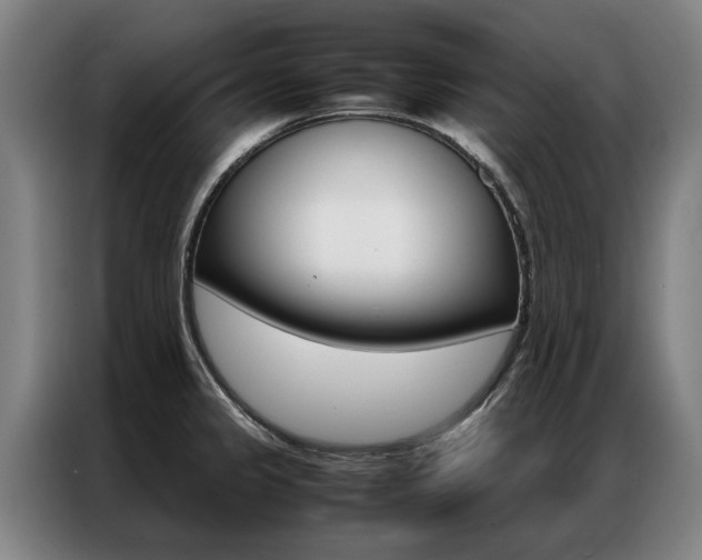 X0000087311333200704200710