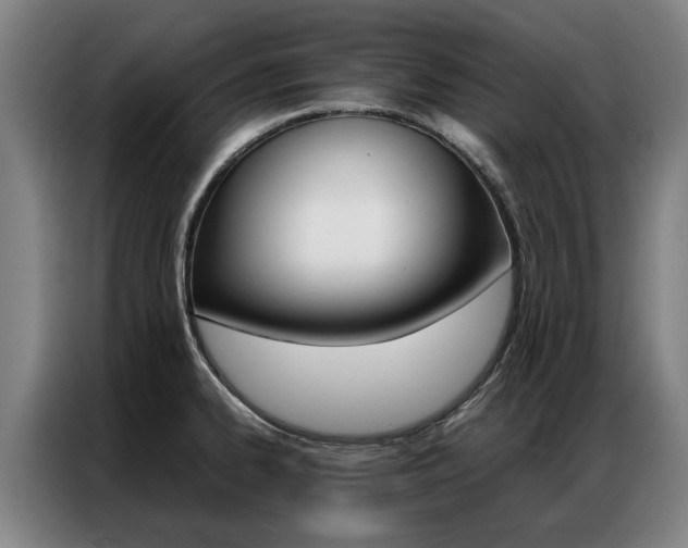 X0000087311334200704200710