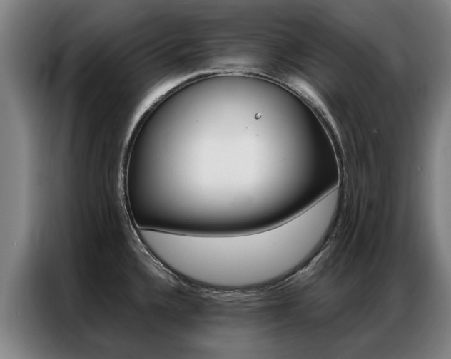 X0000087311336200704200710