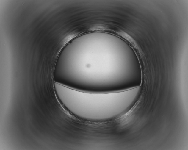 X0000087311337200704200710