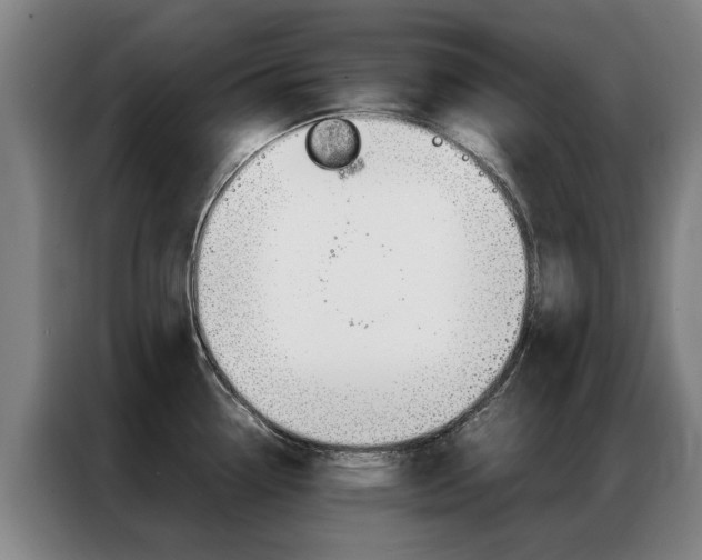 X0000087311338200704200710