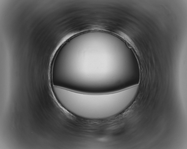 X0000087311339200704200710