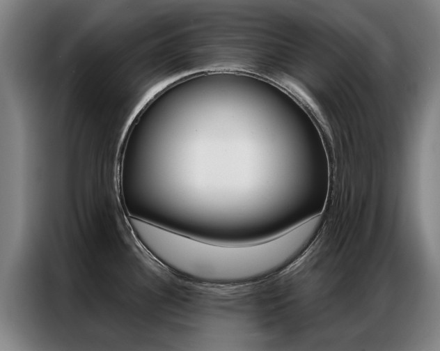 X0000087311340200704200710