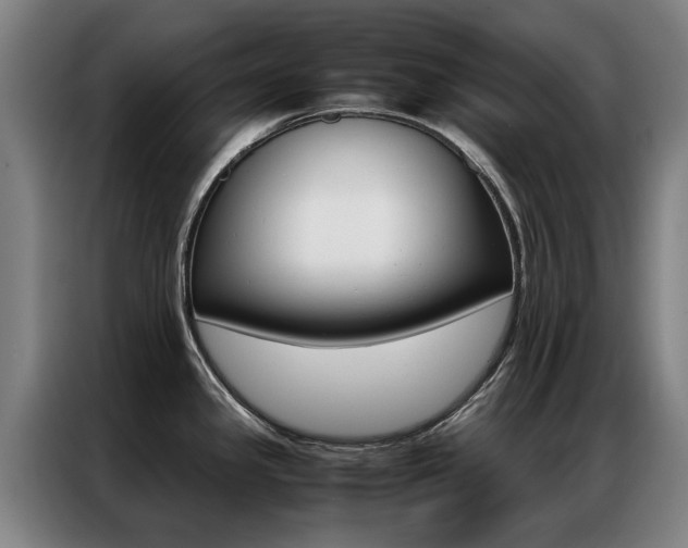 X0000087311341200704200710