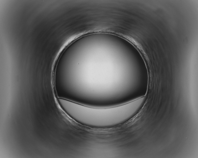 X0000087311342200704200710