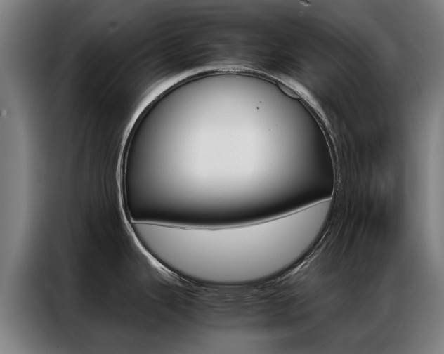 X0000087311343200704200710