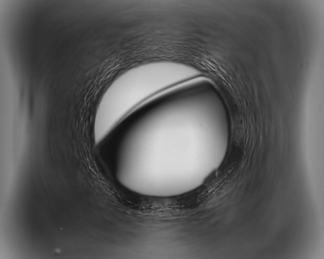X0000087311345200704200709