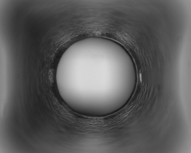 X0000087311347200704200709