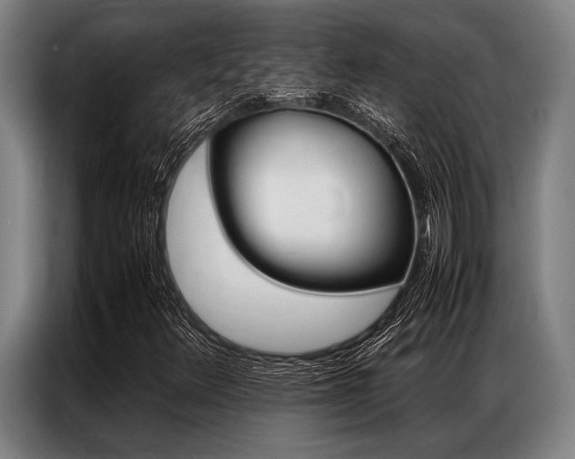 X0000087311348200704200709