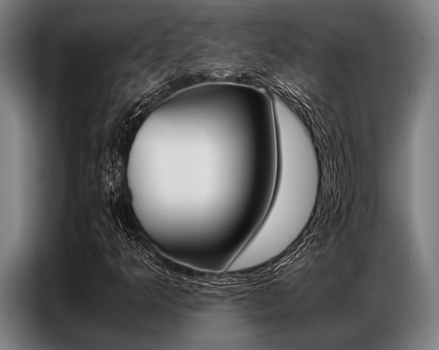 X0000087311349200704200709