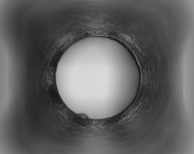 X0000087311350200704200709