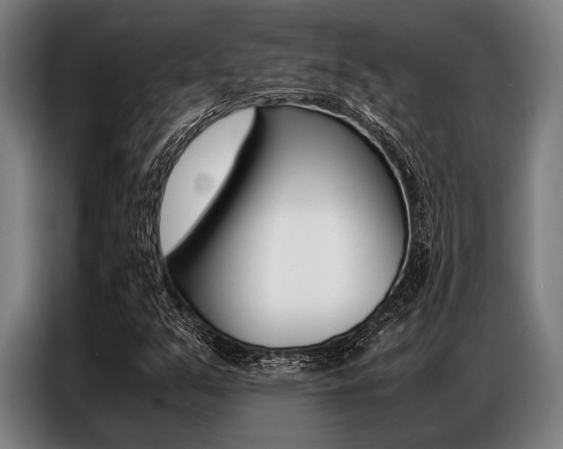X0000087311351200704200709