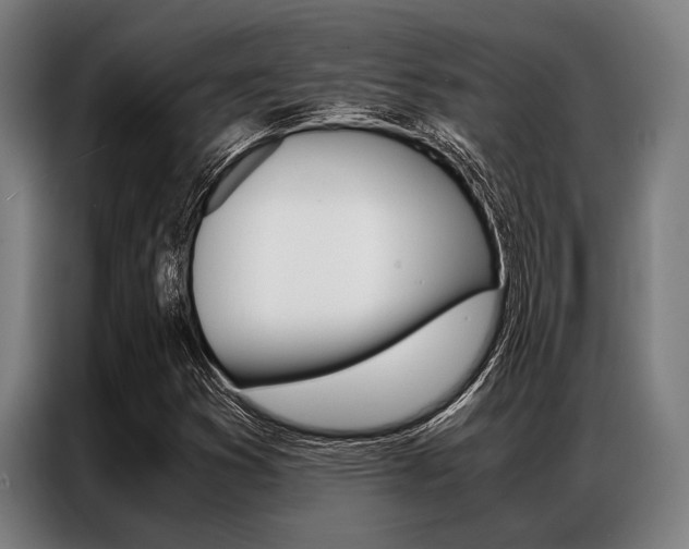 X0000087311353200704200709